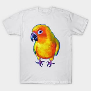 Aesop, the Sun Conure by Robert Phelps T-Shirt